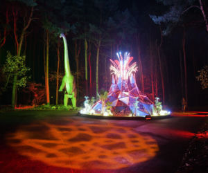 Park iluminacji w Bydgoszczy. Niezwykła świetlna atrakcja.już otwarta! [ZDJĘCIA]