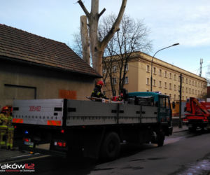 Połamane drzewo na ulicy Racławickiej