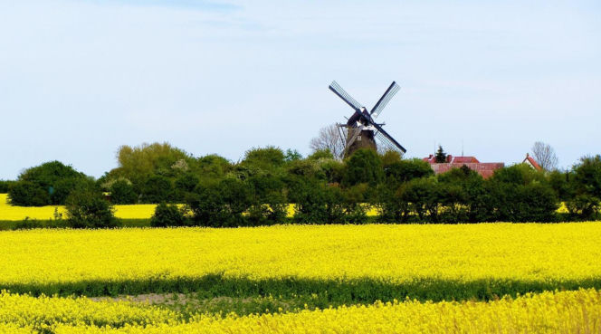 Wyspa Fehmarn