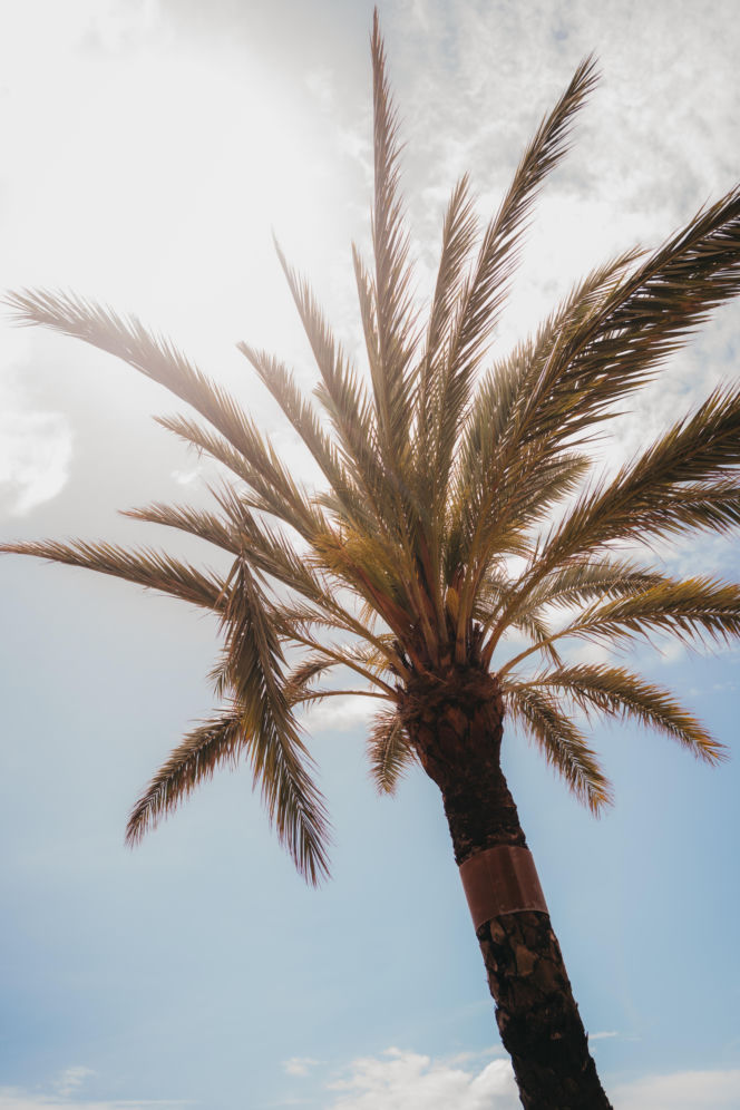 Trzeci dzień ESKA Odwołuje Zimę - La Gomera