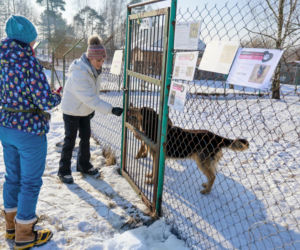Marta Krupa z pomocą dla zwierząt. Nakarmiła psy i koty w potrzebie