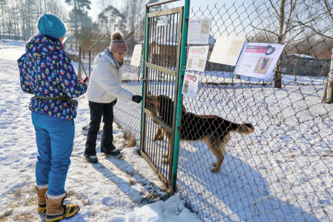 Marta Krupa z pomocą dla zwierząt. Nakarmiła psy i koty w potrzebie