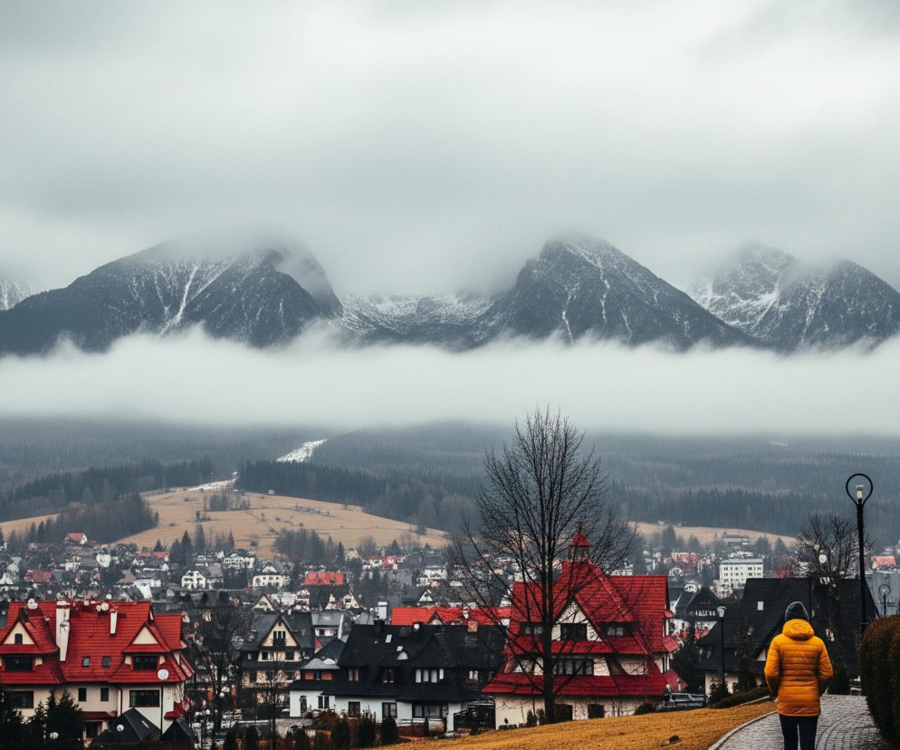 Uwieczniono szeroki, zimowy krajobraz miejscowości górskiej pod zachmurzonym niebem. Na pierwszym planie, w dolnej prawej części obrazu, stoi postać w żółtej kurtce i szarej czapce, zwrócona tyłem, idąca brukowaną ścieżką w dół. Ścieżka otoczona jest niskimi krzewami o brązowym zabarwieniu oraz kilkoma budynkami o czerwonych i ciemnych dachach, typowych dla architektury górskiej.

W centrum i po lewej stronie obrazu rozciąga się panorama gęsto zabudowanej miejscowości, z licznymi domami o spadzistych dachach, wśród których wyróżnia się jeden budynek z wysoką, czerwoną, spiczastą wieżą. W tle wznoszą się częściowo zaśnieżone góry, których szczyty są przysłonięte niskimi chmurami, tworząc mglistą, szarą atmosferę. Pomiędzy miejscowością a górami widoczne są pagórki pokryte suchą trawą i lasem iglastym.