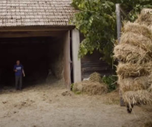 Pan Gienek z programu Rolnicy. Podlasie