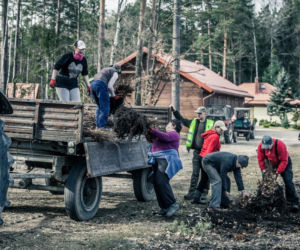 Sadzenie drzew w Podlaskiem. Ponad 50 milionów sadzonek