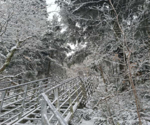 Majestatycznie, zimowo, jak w bajkowej Narnii. Tak Nowy Rok wita Święty Krzyż