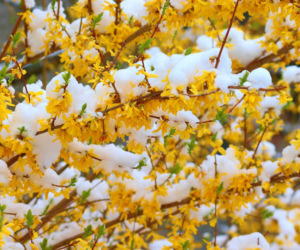 Nie tyko kwiecień plecień. Tak przepowiadały przyszłość nasze babki! Te przysłowia mogą zaskoczyć