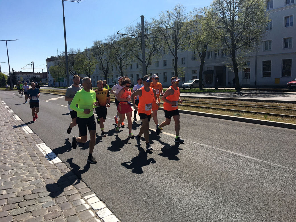 Półmaraton z Grudziądza do Rulewa 2023