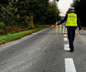 Policyjne kontrole w całym regionie. Zatrzymano 38-letnią kobietę