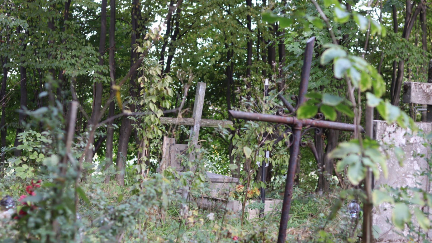 Lubelski cmentarz ukryty wśród drzew. Pochowani tu są mariawici. Zobacz