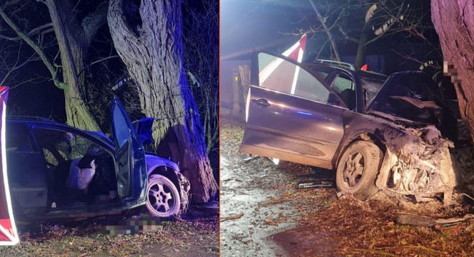 Auto roztrzaskało się na drzewie. Ukrainka zginęła na miejscu