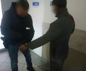 Wierzchlesie: Leśna bimbrownia zlikwidowana