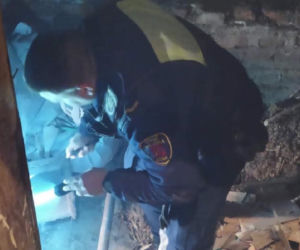 ZOBACZCIE, co EKO Patrol znalazł w  piecach łodzian w tym miesiącu!
