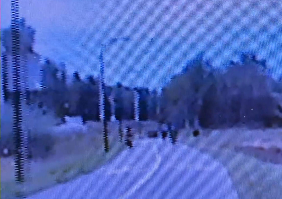 Policjanci z Rybnika skuli w kajdanki 14-latka! Leżał na glebie, twarzą do chodnika. "Winna głupota rodziców"