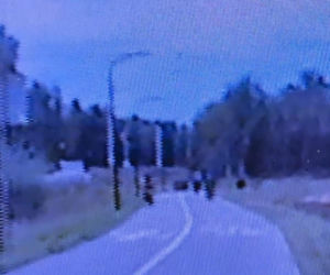 Policjanci z Rybnika skuli w kajdanki 14-latka! Leżał na glebie, twarzą do chodnika. Winna głupota rodziców