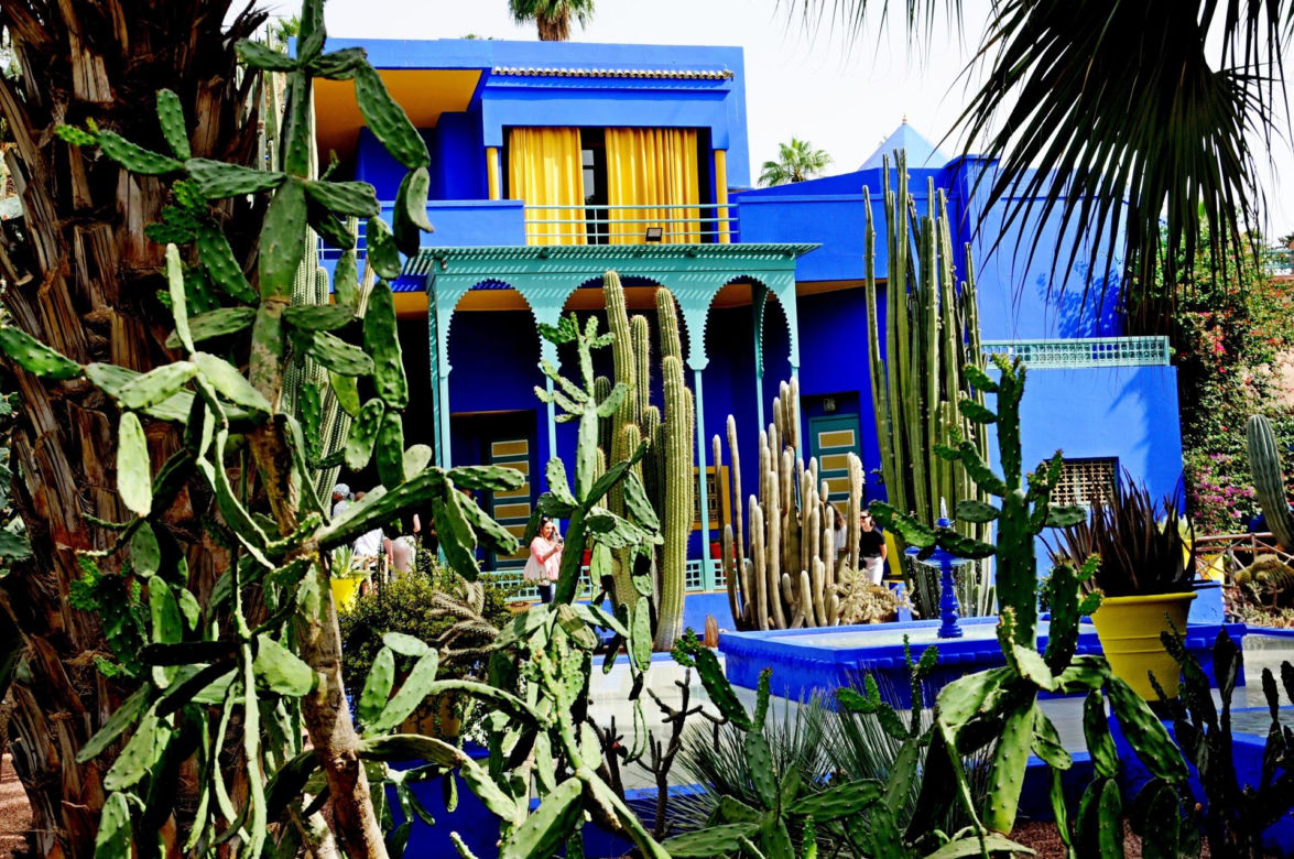 Ogród Majorelle i Villa Oasis w Marrakeszu 