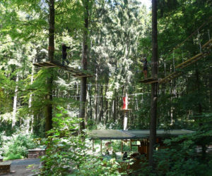 Park linowy