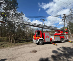 Interwencje Strażaków przy likwidacji szkód spowodowanych przez gwałtowny wiatr i burze