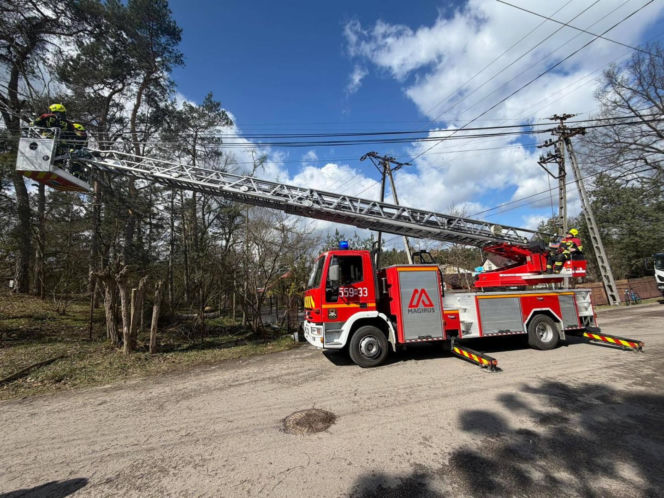 Interwencje Strażaków przy likwidacji szkód spowodowanych przez gwałtowny wiatr i burze