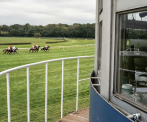 Koń galopował do mety z ciężką kontuzją. Gonitwa na Służewcu zakończona dramatem