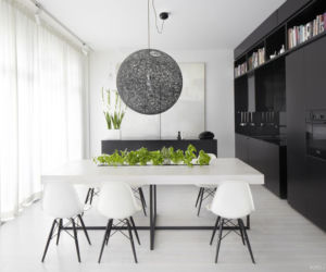 Czarno-białe wnętrze apartamentu