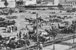 Krowa wbiegła do kina w Warszawie. To nie żart!