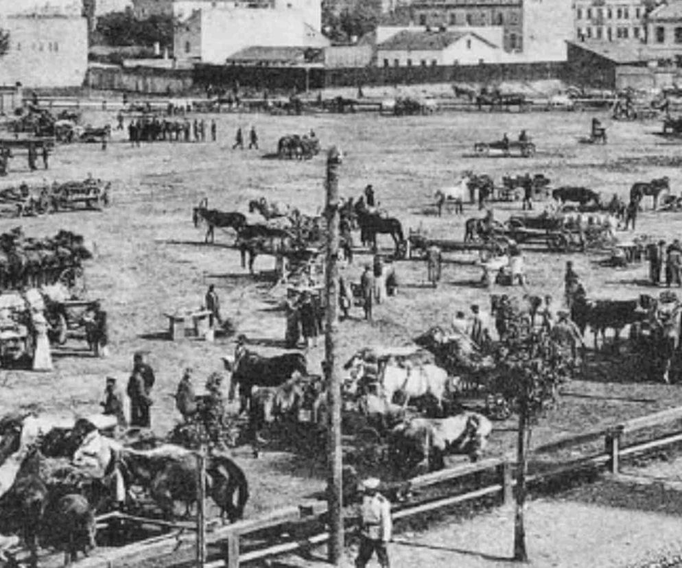 Targ koński na Pradze