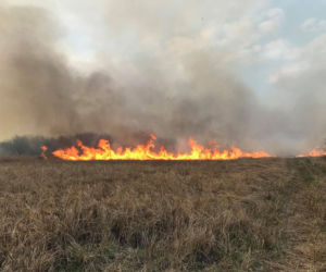 Potężny pożar obszarów chronionych Natura 2000!