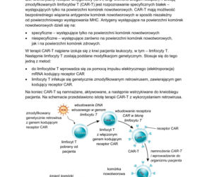 Matura 2026: biologia ROZSZERZONA 8.05.2026r. Arkusze CKE, poziom podstawowy [Formuła 2023]