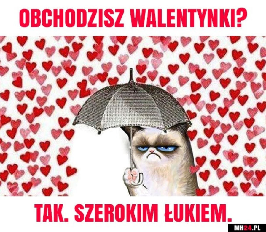 Najlepsze memy na Walentynki. Internet komentuje Święto Zakochanych
