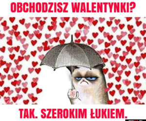 Najlepsze memy na Walentynki. Internet komentuje Święto Zakochanych