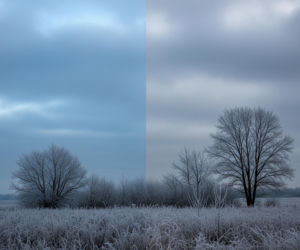 Nysa 19.11.2025 Pogoda. Czy szykują się mroźne sensacje?