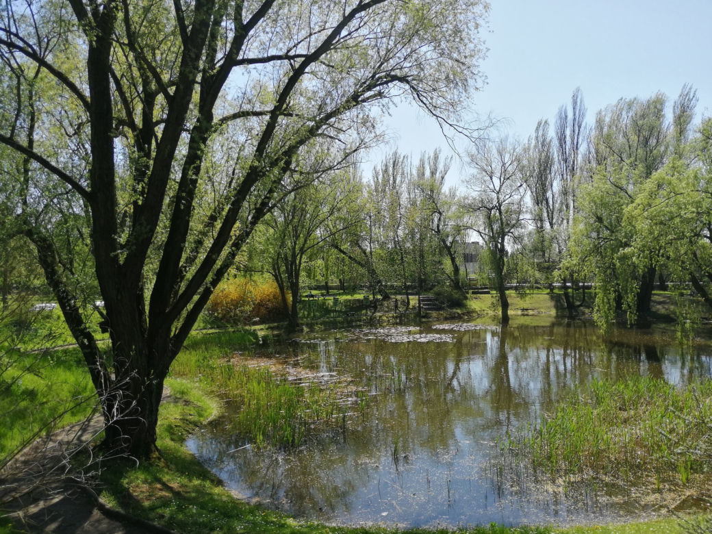 Miejski Ogród Botaniczny w Zabrzu