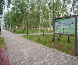 Powiew nowoczesności, stare zabytki czy otoczenie przyrody? Najlepsze miejsca w Płocku na długi spacer [GALERIA}
