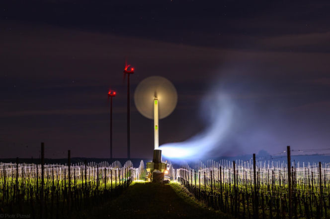 Przymrozki w winnicy - podgrzewanie winorośli