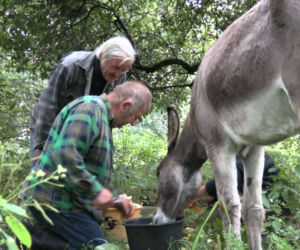 Rolnicy. Podlasie. Gienek i Sławek z wizytą u Maćka z Kundzicz