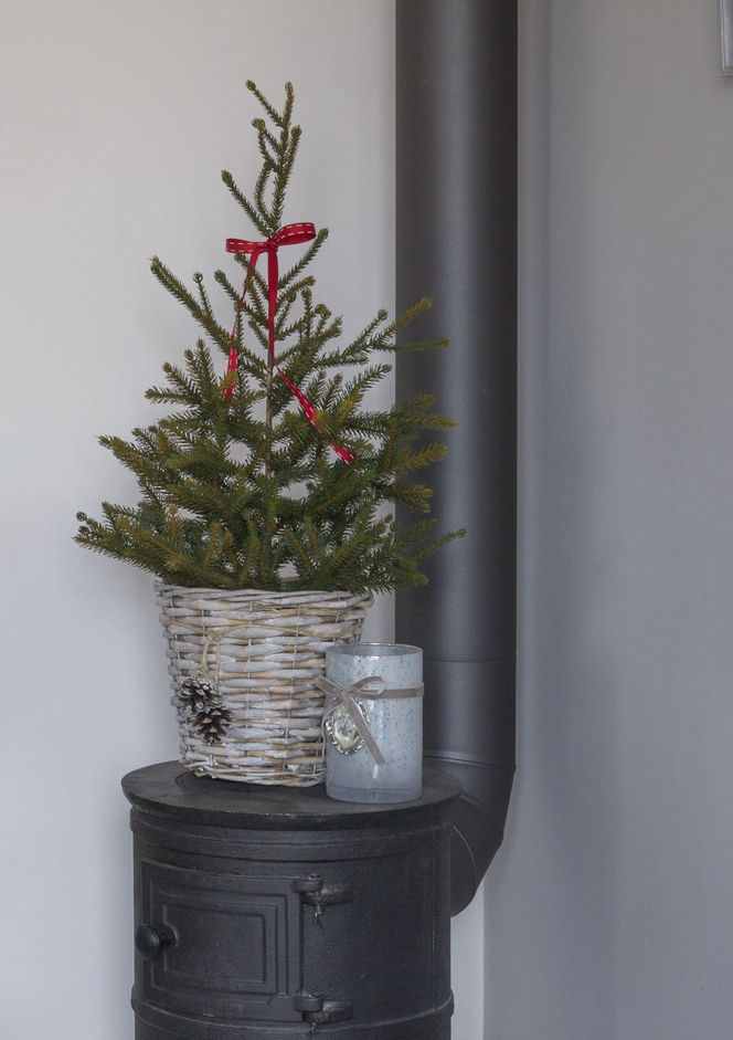 Świąteczne choinki w stylu rustykalnym