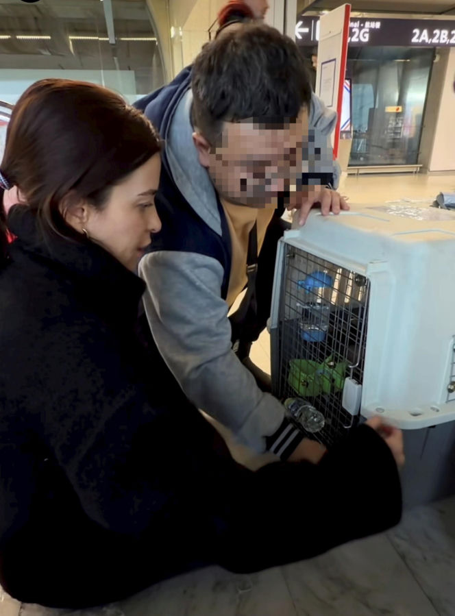 Malwina Wędzikowska uratowała psa