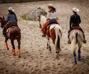 Cowgirls Silesia
