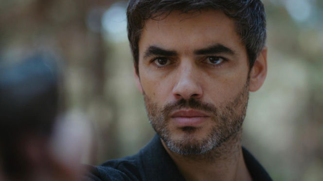 Dziedzictwo, odc. 892. Poyraz