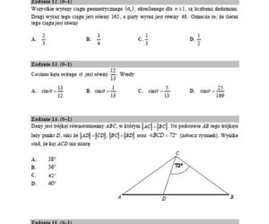Matura poprawkowa 2019 - MATEMATYKA [ARKUSZE CKE, ZADANIA, ODPOWIEDZI]