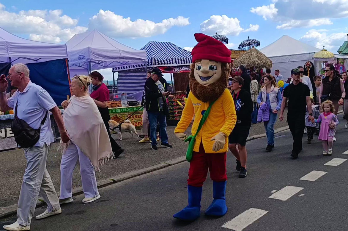 Piknik nad Odrą