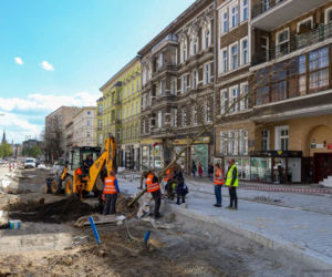Nowe drzewa na alei Wojska Polskiego