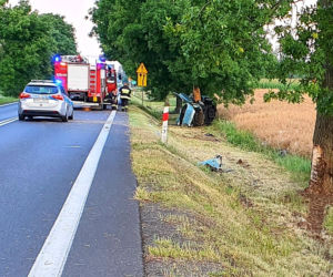 Lednogóra: Wracali z imprezy i nagle samochód WBIŁ SIĘ w drzewo! NIE ŻYJE dwóch młodych mężczyzn