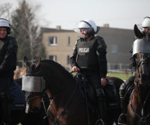 Poznań: Policja konna przeszła egzaminy i otrzymała atest [ZDJĘCIA]