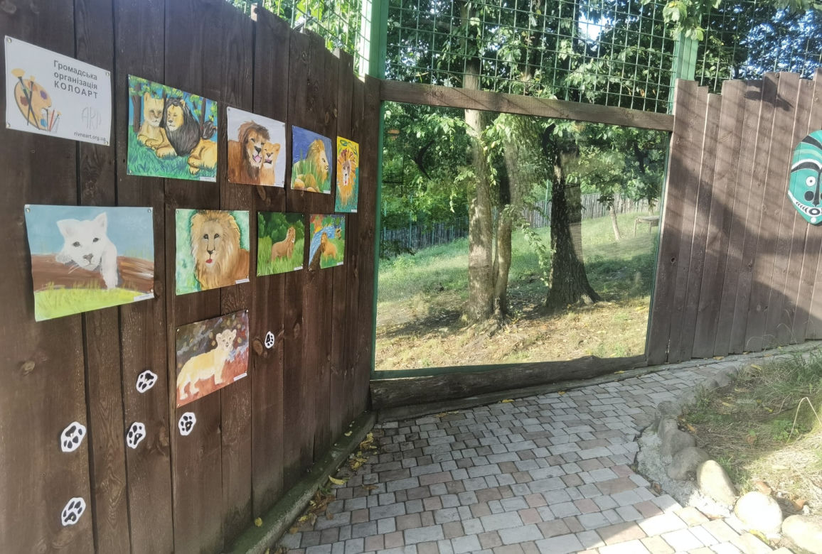 Warszawiacy pomogli ukraińskiemu zoo. Ogromny transport darów dla zwierząt już dotarł na miejsce
