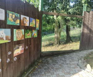 Warszawiacy pomogli ukraińskiemu zoo. Ogromny transport darów dla zwierząt już dotarł na miejsce