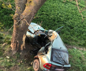 ZMASAKROWANE auto! 23-latka uderzyła w drzewo i zginęła! [ZDJĘCIA]