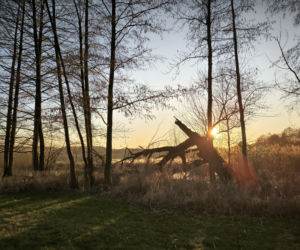 Pogoda na majówkę w Lesznie 2026