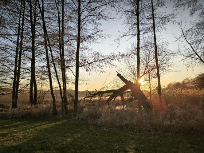 Pogoda na majówkę w Lesznie 2026